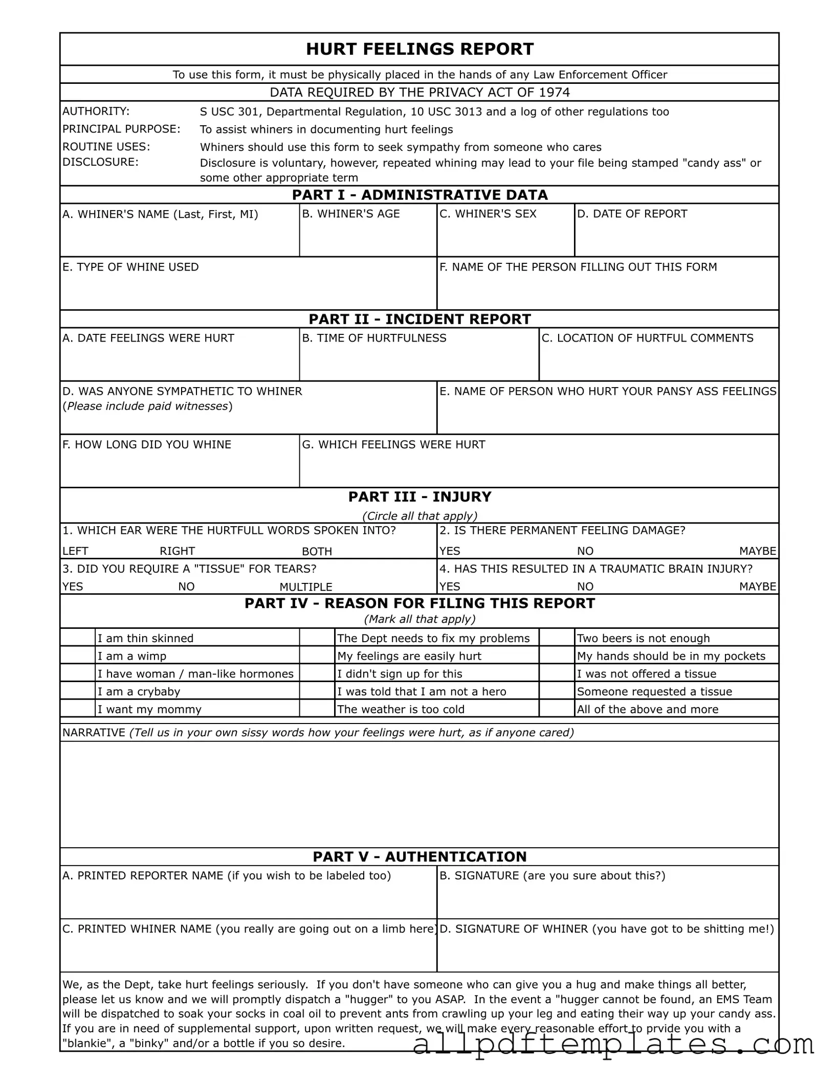 Get Hurt Feelings Report Form in PDF