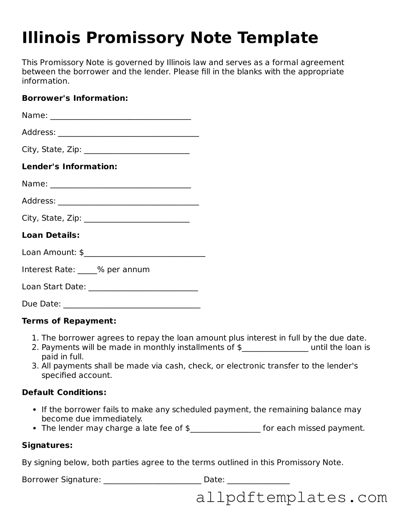 Blank Promissory Note Document for Illinois State
