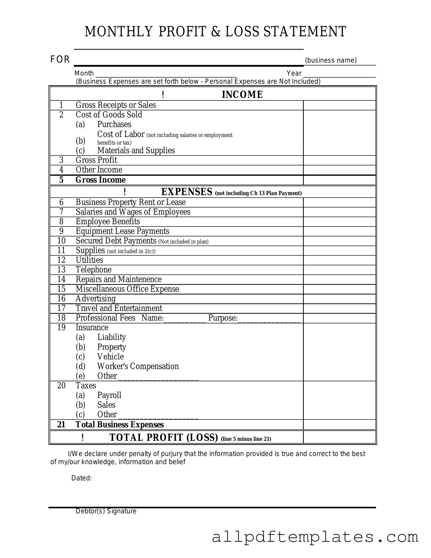 Get Profit And Loss Form in PDF